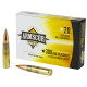 Ammunition Ammunition