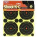 Birchwood Casey Shoot-N-C Target, Round Bullseye, 3