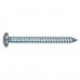 Hillman Zinc Pan Head Phillips Sheet Metal Screw 6 x 1