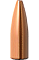 Barnes .22 Caliber 55 Grain Varmin-A-Tor Bullet